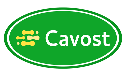 Cavost